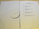 Amon Amarth ?– The Avenger (RARE VINYL TEST PRESSING)