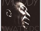 MUDDY WATERS - MANNISH BOY/BEST OF MUDDY WATERS 2 VINYL LP NEW+
