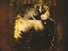 PANTERA - FAR BEYOND DRIVEN 2 VINYL LP NEW+