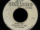 Wailers/Jackie Mittoo 