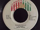 Bionic Singer / Ossie Maddo - Walking Wallet / Dub - Jamaazima 7
