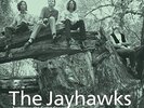 THE JAYHAWKS - TOMORROW THE GREEN GRASS (LTD.EDIT.2014 REISSUE)   VINYL LP NEW+