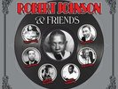 Robert Johnson & Friends VARIOUS ARTISTS 180g BEST 32 Blues Songs NEW VINYL 2 LP