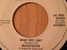 Buzzcocks - What Do I Get? 7