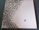Wilco: Sky Blue Sky Double Vinyl Gatefold LP