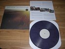 SAVES THE DAY Stay What You Are PURPLE LP SEALED_blink 182 fall out boy cd 7