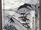 HAKU Na Mele A Ka Haku 1976 HAWAIIAN Private Synth Folk Psych Rare