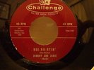 JOHNNY AND JONIE---KEE RO RYIN  (Rockabilly)
