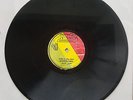AUGUSTUS PABLO - PABLO IN FINE STYLE // CARLTON DAVE PAUL - LOVE AND UNITY / JAH