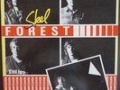 PRIVATE AOR Pomp Rock LP by STEEL FOREST - First Confession - 1982 - Netherlands