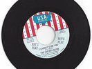 Garage-Cherry Slush-I Cannot Stop You / Don't Walk Away-U.S.A. 895