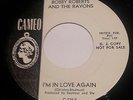 Bobby Roberts And The Ravons - How Can I Make Her Mine - Killer 60s Garage 45