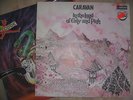 Caravan In The Land Of Pink and Grey P. F. M. Cook PFM LP Vinyl prog rock