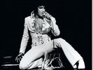 Elvis, Showroom Internationale RCA Victor 'Record Store Day's' Black Friday Rele