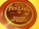 JAZZ MIKE SPECIALE ORCH Walking The Rails PERFECT 14494