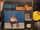 Little Stevie Wonder 