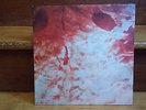SALEM I'm Still In the Night Vinyl EP s4lem Limited 500 Witch House