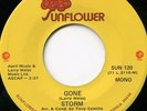 STORM GONE & THIS I FIND IS BEAUTIFUL 1971 DETROIT NORTHERN SOUL 45? LARRY WEISS
