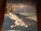LOCANDA DELLE FATE 'Forse Le Lucciole...' ita prog rock LP 1st press
