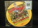 'Roots of the Grateful Dead' Picture Disc 'Music Never Stopped' Ltd. #d R.Crumb