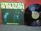 SPIROGYRA - Bells, Boots and Shambles LP GERMAN  TUDOR LODGE THE TREES