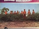 LOS DEMENTES - ESTAMOS CAMINANDO - LP IGLEE RECORDS USA