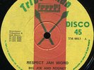 Big Joe and Rodney - Respect Jah Word / The Profit Says UK Tribesman 12