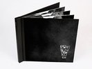 PEARL JAM Live BELLINGHAM 5/10/2000 VAULT 4 VINYL 3 LP Set Ten Club MINT SEALED
