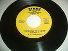 ICE COLD LOVE WONDERFUL TO BE LOVED ORG PVT PRESS SWEET SOUL 45 ON TAMMY NM