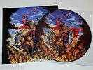 Iron Maiden 'Fear In Stockholm' LP Picture Disc Vinyl w Cover Rare 250cop NM/NM
