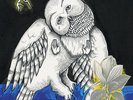 Magnolia Electric Co. The, [2xLP] by Songs Ohia (Vinyl, Nov-2013, Secretly Canad