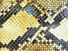 AMAZING SNAKEHEADS - AMPHETAMINE BALLADS (180GM) NEW VINYL