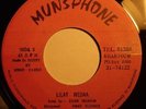 ZIDAN IBRAHIM - LILAT WEDAA / AFRO SOUNDS FROM SUDAN OF THE 70s - DEAD STOCK ?