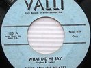 TERRY AND THE PIRATES What Did He Say / Talk About The Girl ROCKABILLY 45 w852
