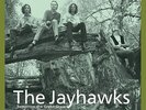 The Jayhawks - Tomorrow the Green Grass