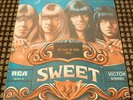 THE SWEET THE LIES IN YOUR EYES / COCKROACH  7