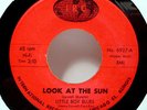 LITTLE BOY BLUES - Look At The Sun (IRC) - '65 garage rock 7