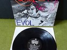 Sonic Youth - Evol LP vinyl original first press fugazi rock grunge nirvana