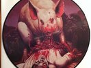 Metallica The Pigs are alright live Bradford 88 2 vinyl picture LPs