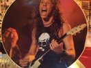 Metallica - James Hetfield - Vinyl Album Picture Disc - Recorded Live