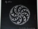 CLAY ALLISON Electric Banana '84 LP New 300 Made Clear Vinyl Not TMOQ Mazzy Star