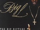 Big L - The Big Picture (1974 - 1999) '00 2xLP US ORG DJ Premier, Lord Finesse