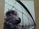 Pearl Jam - Vs Vinyl record