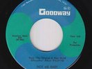 Northern Soul 45 - Silhouettes - Not Me Baby - Goodway - NM mp3 - rare original