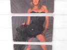 ? SAMANTHA FOX 'TOUCH ME' SPECIAL RECORD PICTURE DISC 1980'S ALBUM ?