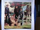 LP The Uniques - (Garage ) rar