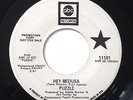 PUZZLE Hey Medusa KILLER 60's Mod Psych 45 Promo ( ABC ) *HEAR