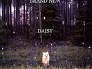 BRAND NEW - DAISY (180GM) NEW VINYL