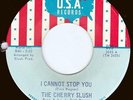The Cherry Slush  I Cannot Stop You 7