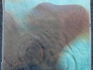 Pink Floyd   Meddle Ltd. Ed. MFSL   SEALED